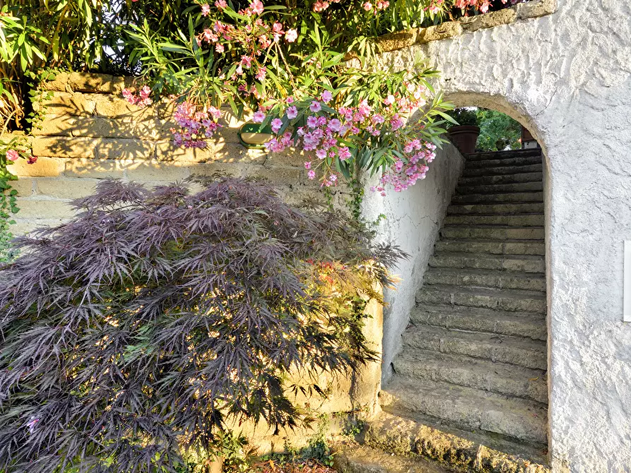 Immagine 32 di Villa in affitto  in Via ISCHIA a Numana