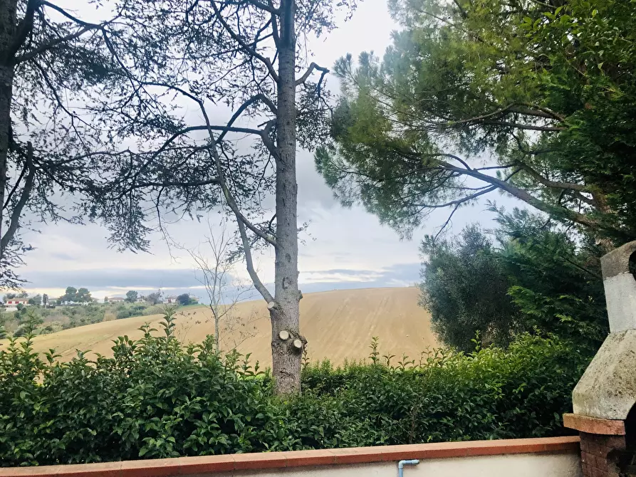 Immagine 3 di Villetta a schiera in vendita  in Via Ischia a Numana