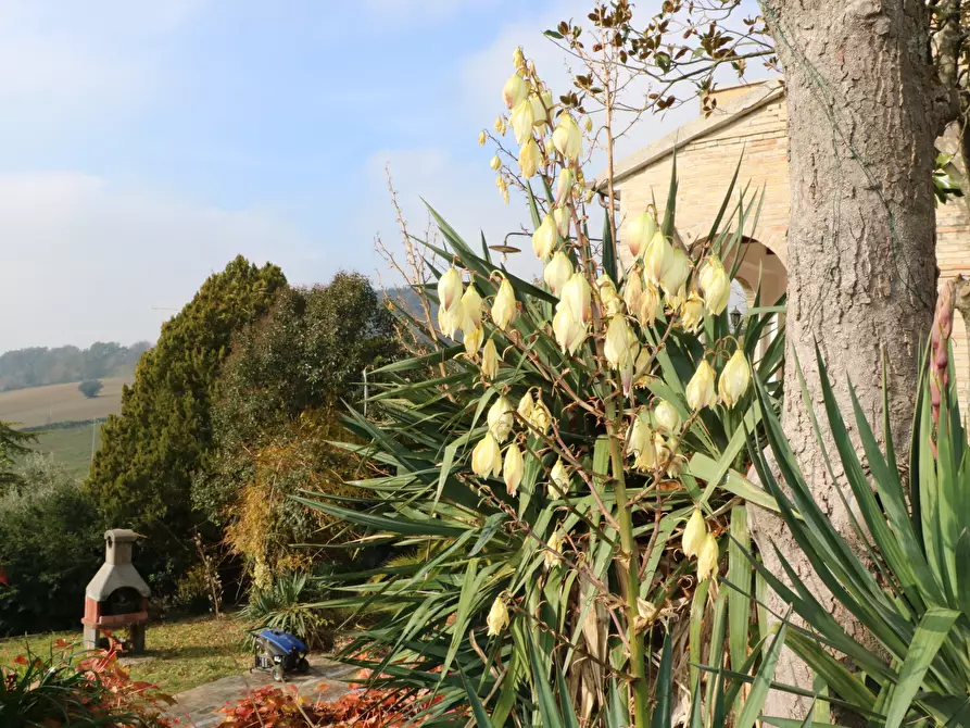 Immagine 32 di Villa in vendita  in VIA chiaravallese a Osimo