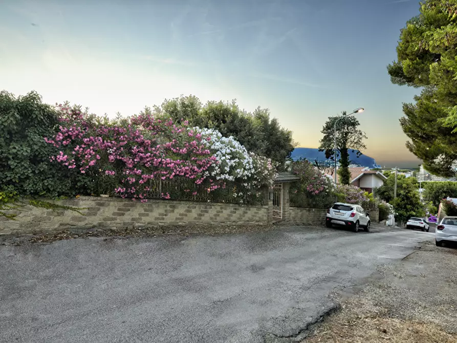 Immagine 35 di Villa in affitto  in Via ISCHIA a Numana