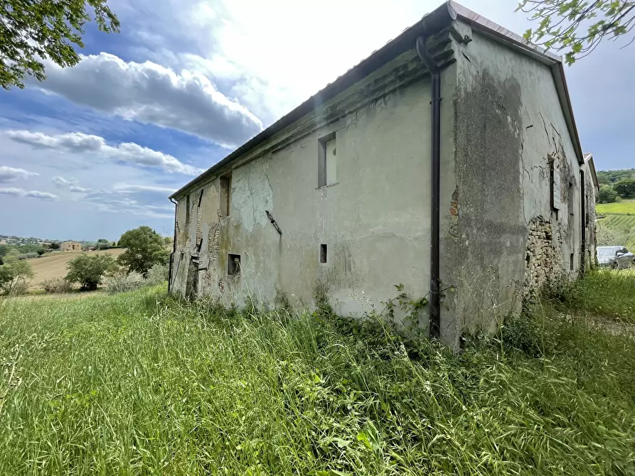 Immagine 5 di Rustico / casale in vendita  in Offagna a Ancona