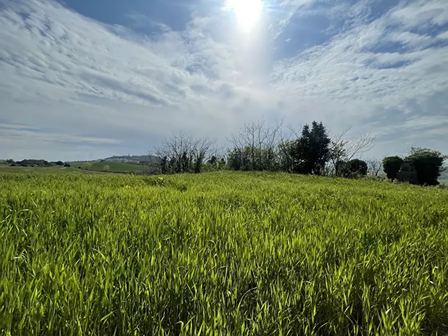 Immagine 11 di Rustico / casale in vendita  in Frazione Poggio a Ancona