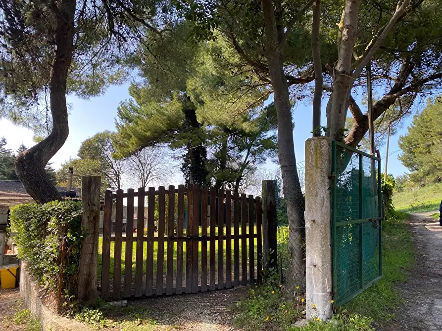 Immagine 18 di Rustico / casale in vendita  in Massignano a Ancona