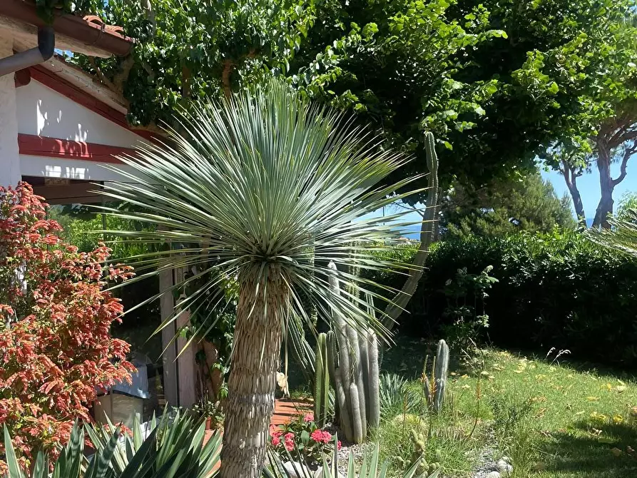 Immagine 7 di Villa in vendita  in Via del Taunus 33 a Ancona