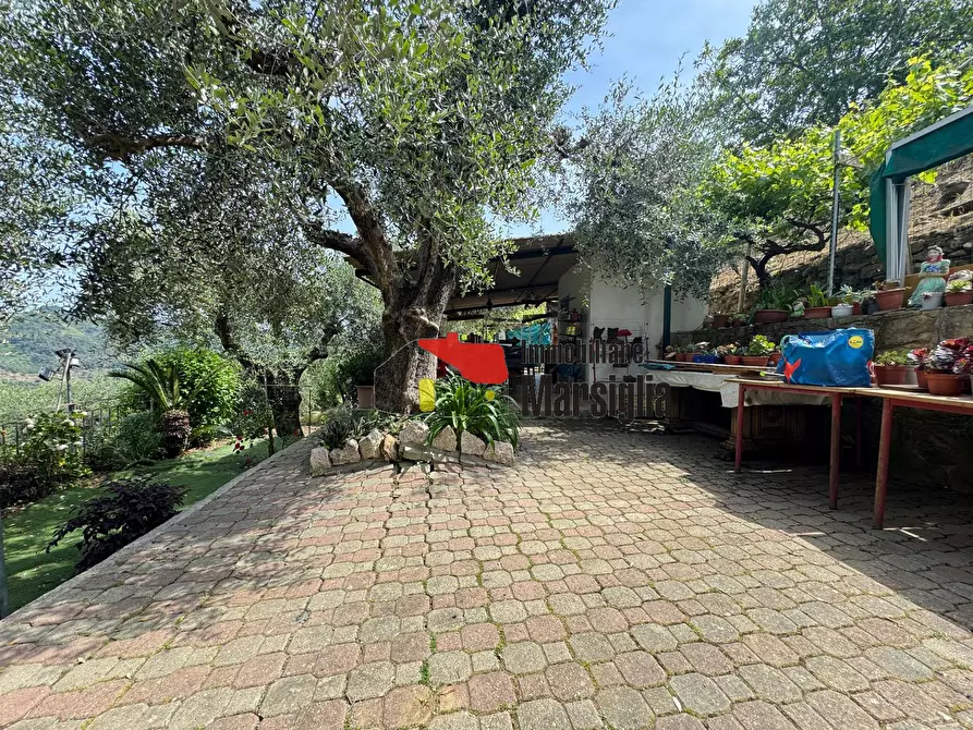 Immagine 33 di Villa in vendita  in Via Monsignore Tornatore a Dolceacqua