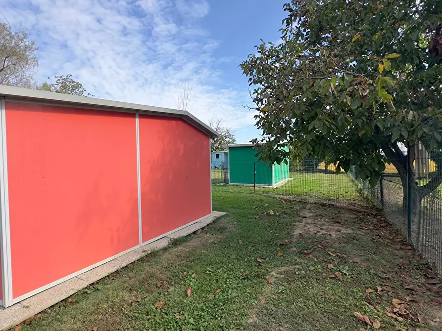 Immagine 28 di Rustico / casale in vendita  in via umberto 1 a Greggio