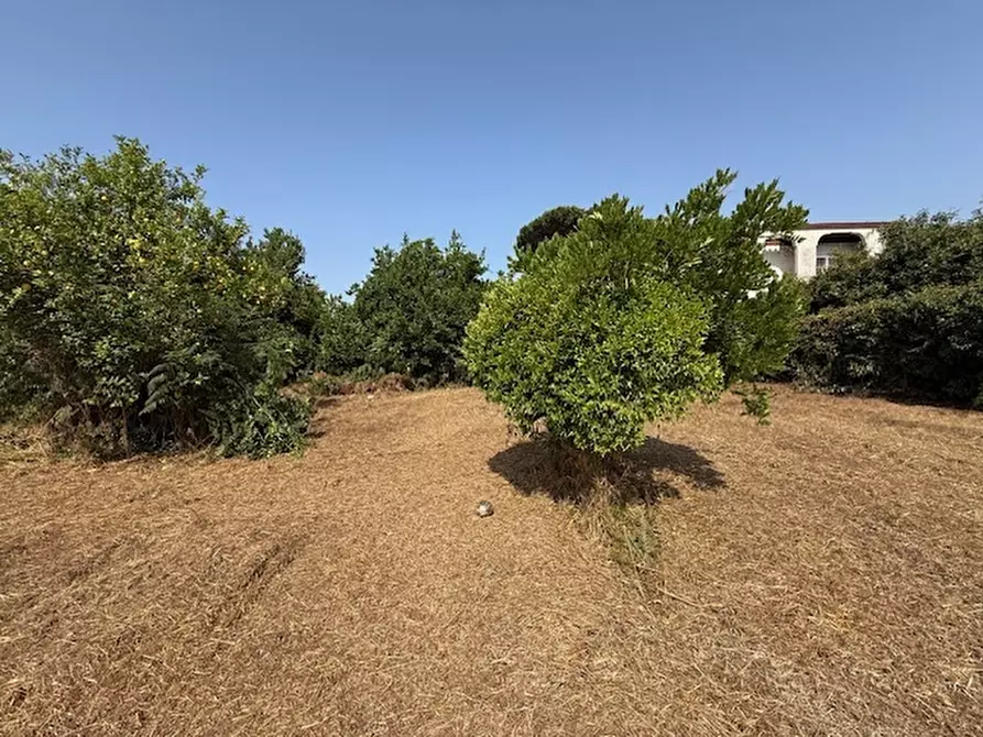 Immagine 15 di Terreno edificabile in vendita  in Via Viminale a Nettuno