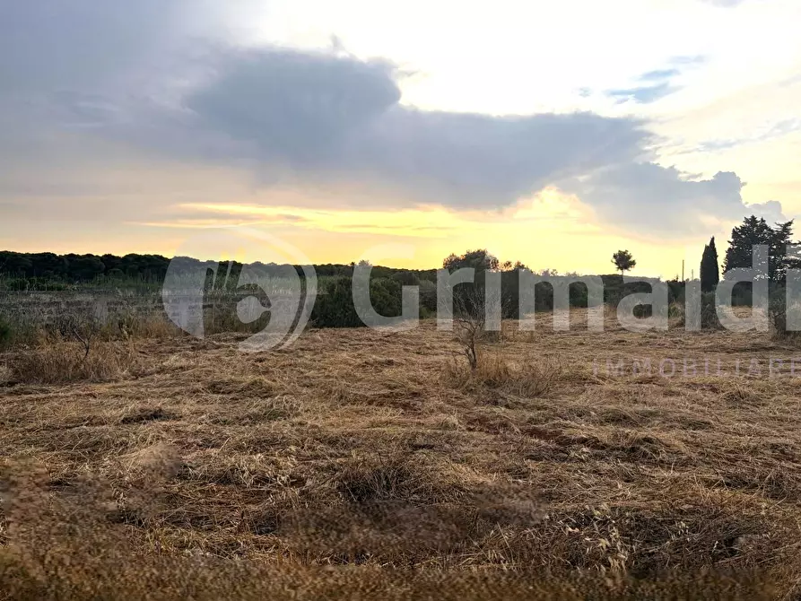 Immagine 17 di Terreno agricolo in vendita  in Strada Statale 274 a Gallipoli