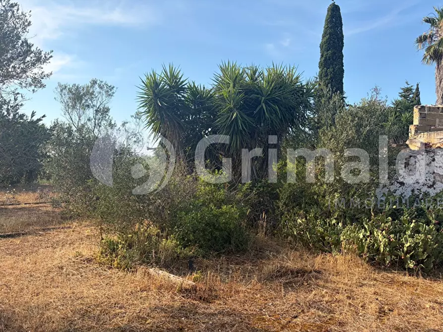 Immagine 19 di Terreno agricolo in vendita  in Contrada Coline a Alezio