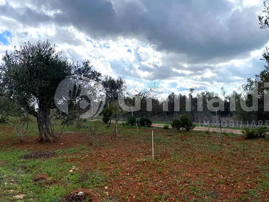Immagine 6 di Terreno edificabile in vendita  in Santa Teresa a Sannicola