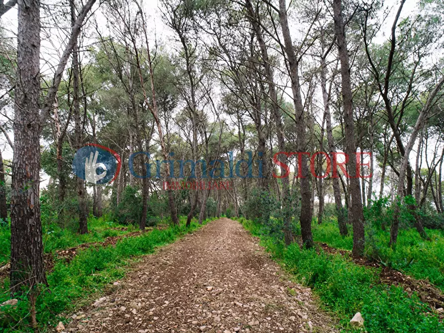 Immagine 4 di Rustico / casale in vendita  in Via Messapia 8 a Monteroni Di Lecce