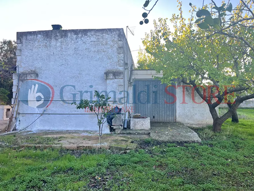 Immagine 14 di Rustico / casale in vendita  a San Vito Dei Normanni