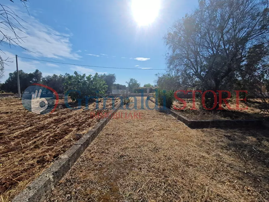 Immagine 6 di Terreno agricolo in vendita  a Latiano