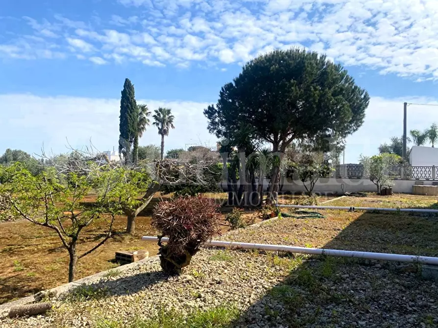 Immagine 17 di Villa in vendita  in strada provinciale 361 a Gallipoli
