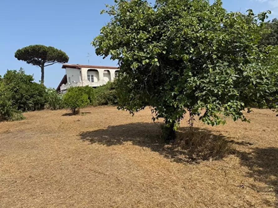 Immagine 2 di Terreno edificabile in vendita  in Via Viminale a Nettuno