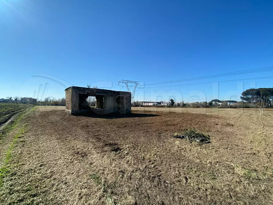 Immagine 1 di Terreno agricolo in vendita  a Giugliano In Campania