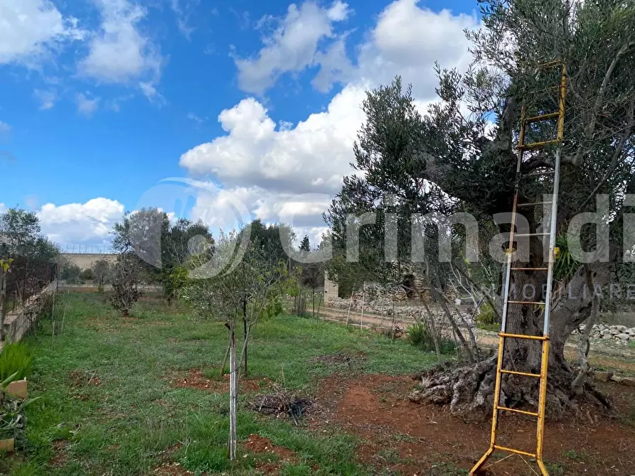 Immagine 13 di Terreno edificabile in vendita  in Santa Teresa a Sannicola