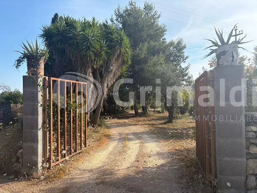 Immagine 4 di Terreno agricolo in vendita  in Contrada Coline a Alezio