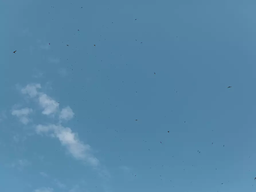 Immagine 10 di Casa indipendente in vendita  in Via Roberto Caracciolo 30 a Lecce