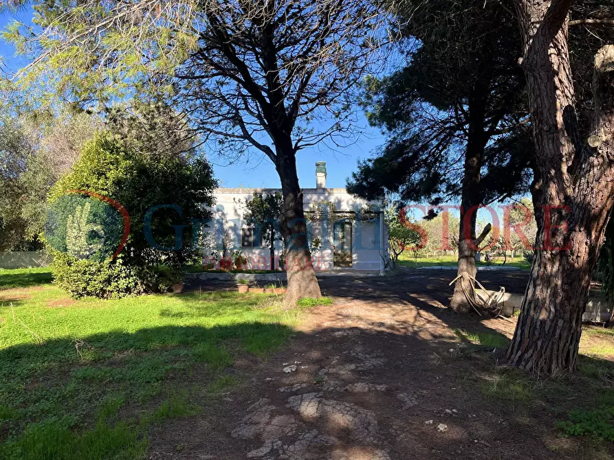 Immagine 17 di Rustico / casale in vendita  a San Vito Dei Normanni