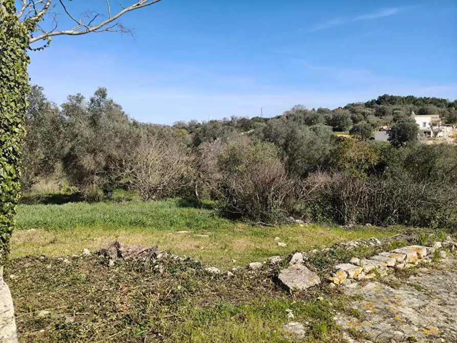Immagine 14 di Casa indipendente in vendita  in Contrada Pisciacalze a Ceglie Messapico