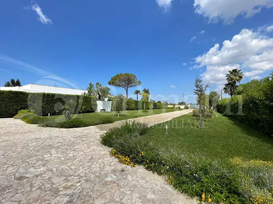 Immagine 1 di Villa in vendita  in strada vicinale contrada pontuso a Matino