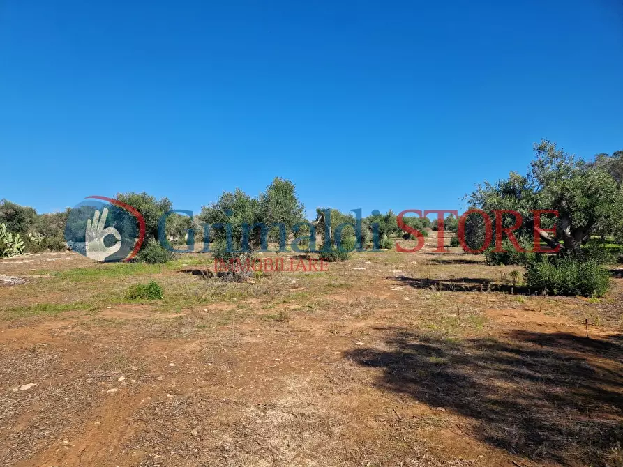 Immagine 13 di Casa indipendente in vendita  a Porto Cesareo