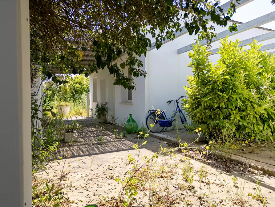 Immagine 52 di Casa indipendente in vendita  in Strada Provinciale 194 a Sannicola