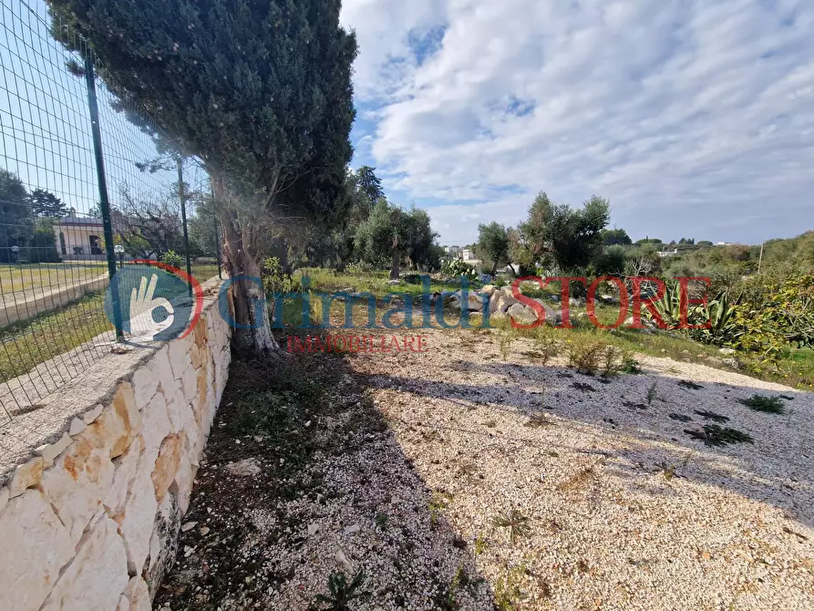 Immagine 5 di Casa indipendente in vendita  a Ostuni