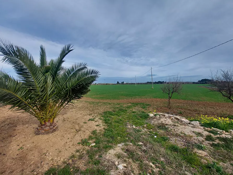 Immagine 13 di Rustico / casale in vendita  in Strada per Baccatani 26 a Brindisi