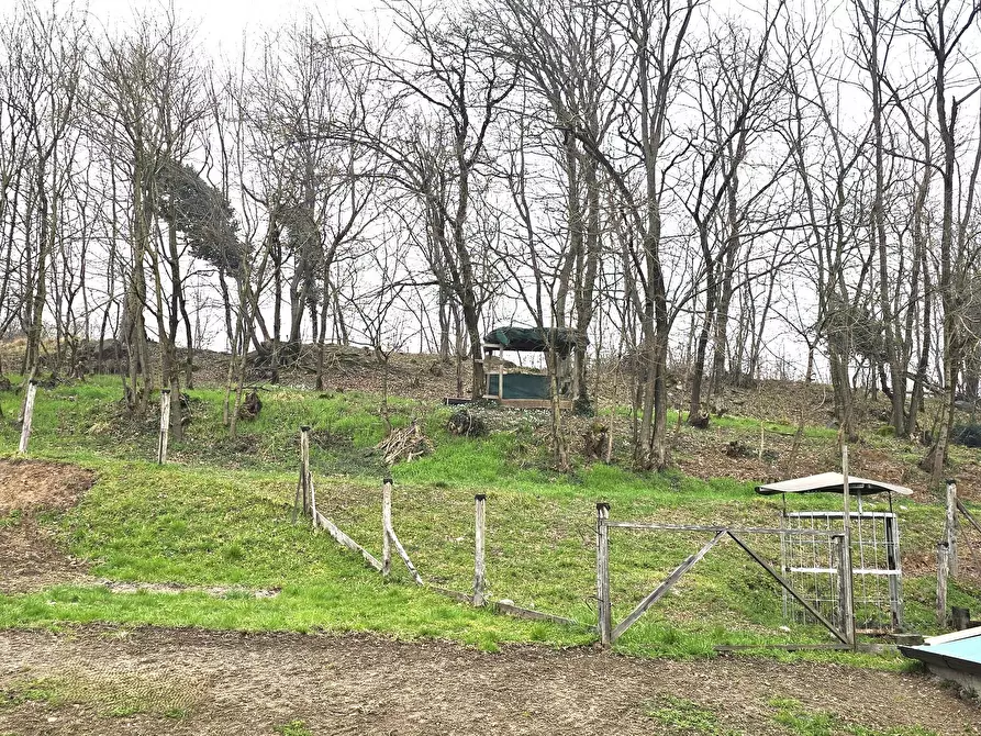 Immagine 15 di Rustico / casale in vendita  in Via C. Battisti 4 a Merone