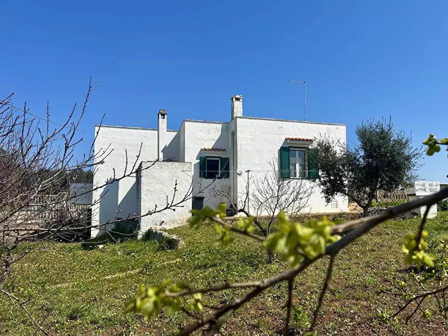 Immagine 3 di Villa in vendita  in C.da San Benedetto 194 a Ostuni