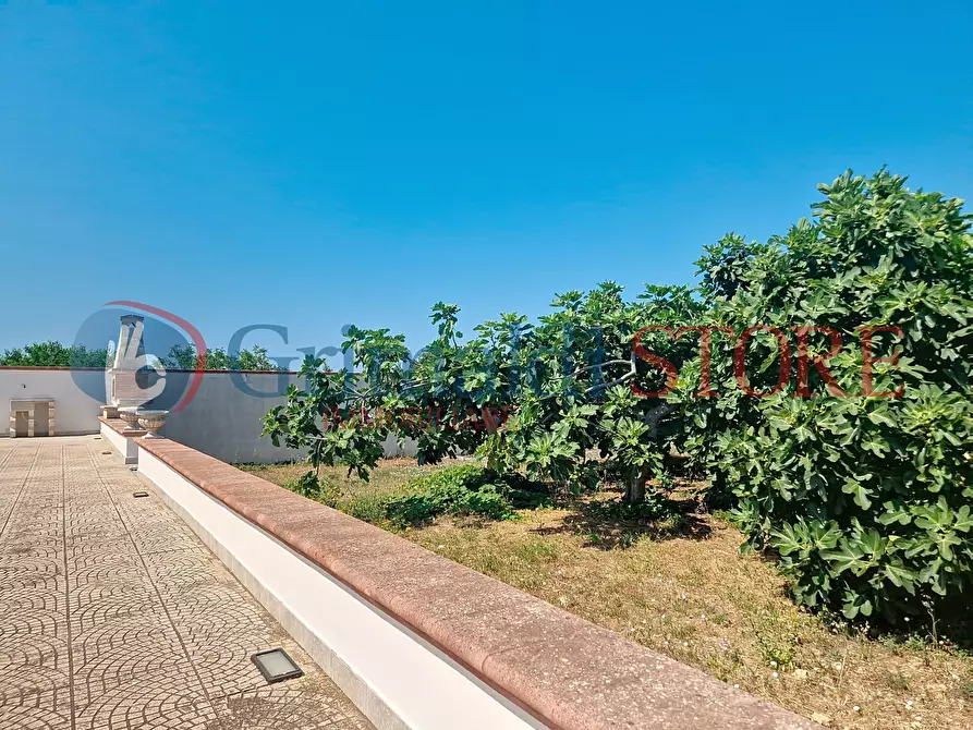 Immagine 20 di Villa in vendita  a Manduria