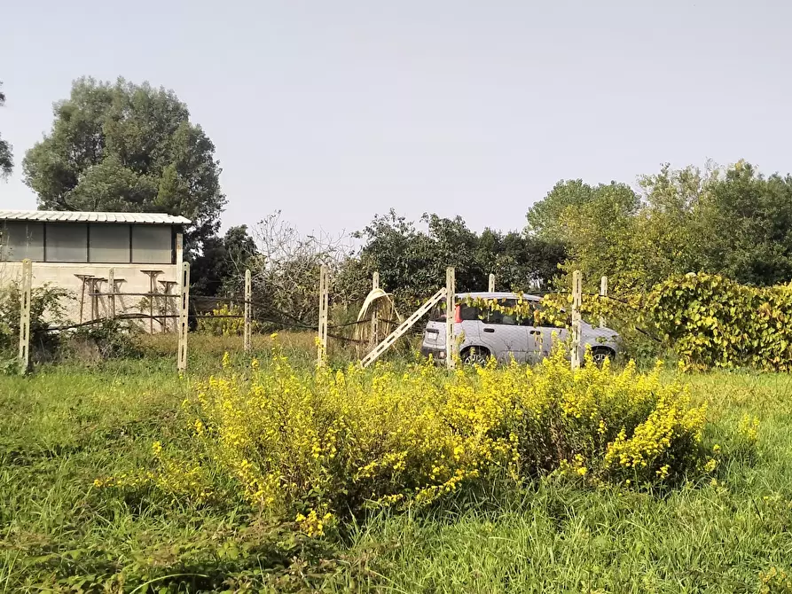Immagine 8 di Terreno agricolo in vendita  in Via Lago di Sirino a Nettuno
