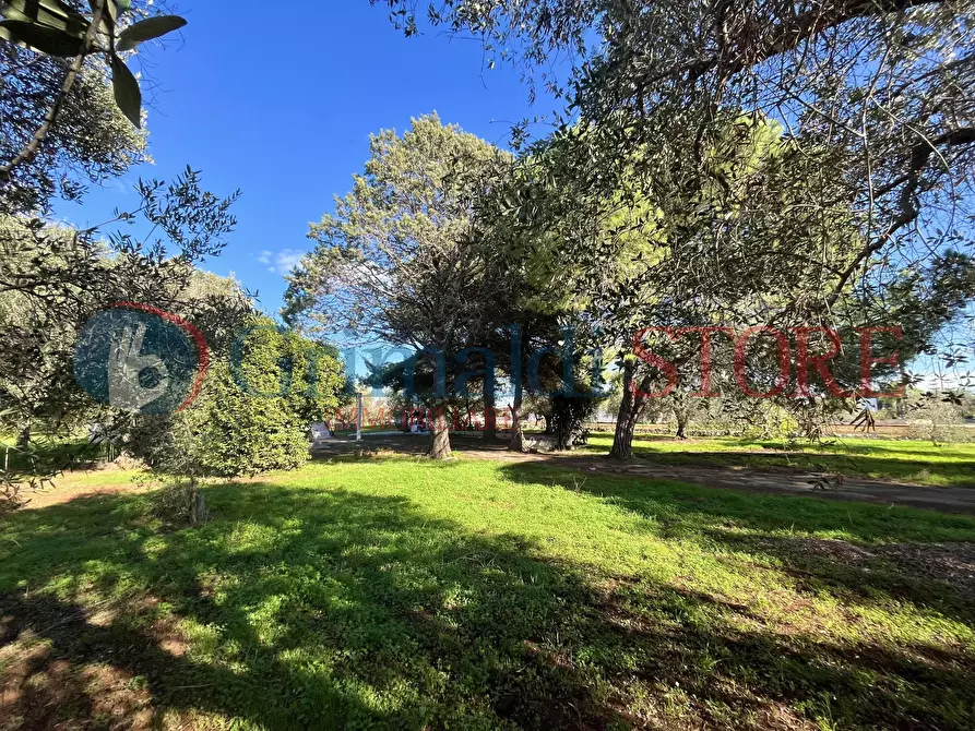 Immagine 36 di Rustico / casale in vendita  a San Vito Dei Normanni