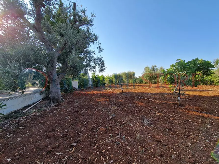 Immagine 45 di Villa in vendita  a San Vito Dei Normanni