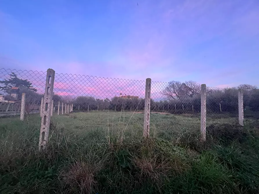 Immagine 7 di Terreno edificabile in vendita  in Via Cellere 1 a Nettuno