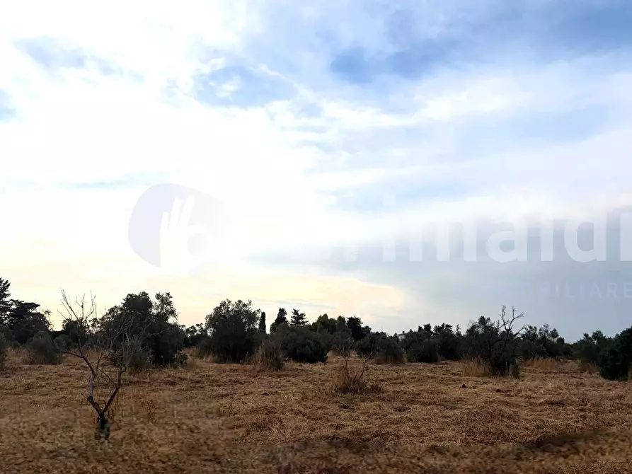 Immagine 12 di Terreno agricolo in vendita  in Strada Statale 274 a Gallipoli