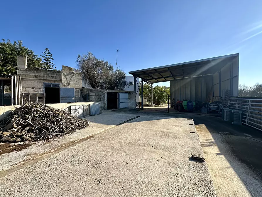 Immagine 31 di Villa in vendita  in Contrada Pezza d' Acqua Fresca 27 a San Vito Dei Normanni