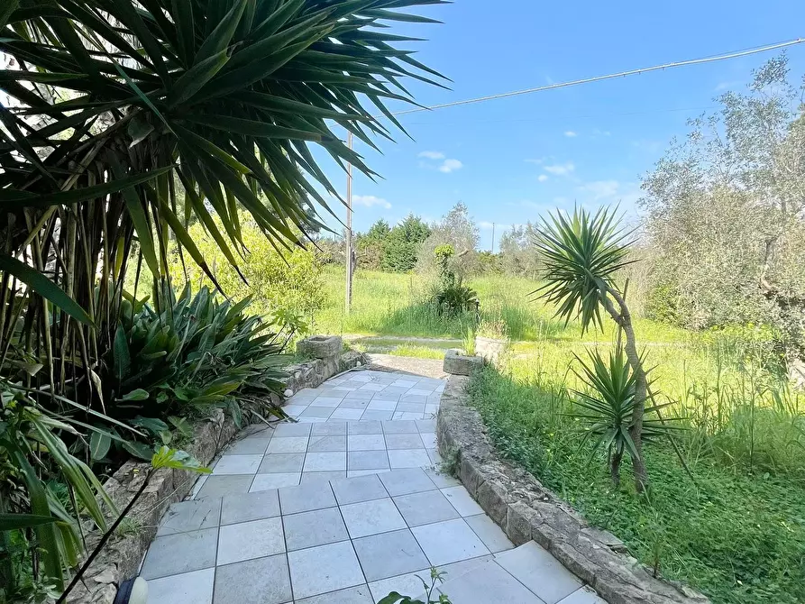 Immagine 79 di Villa in vendita  in strada provinciale 39 a Maglie