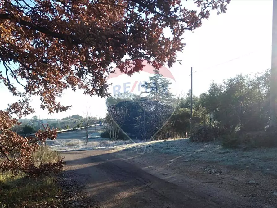 Immagine 18 di Villa in vendita  in Contrada Romanazzi 682/A a Monopoli