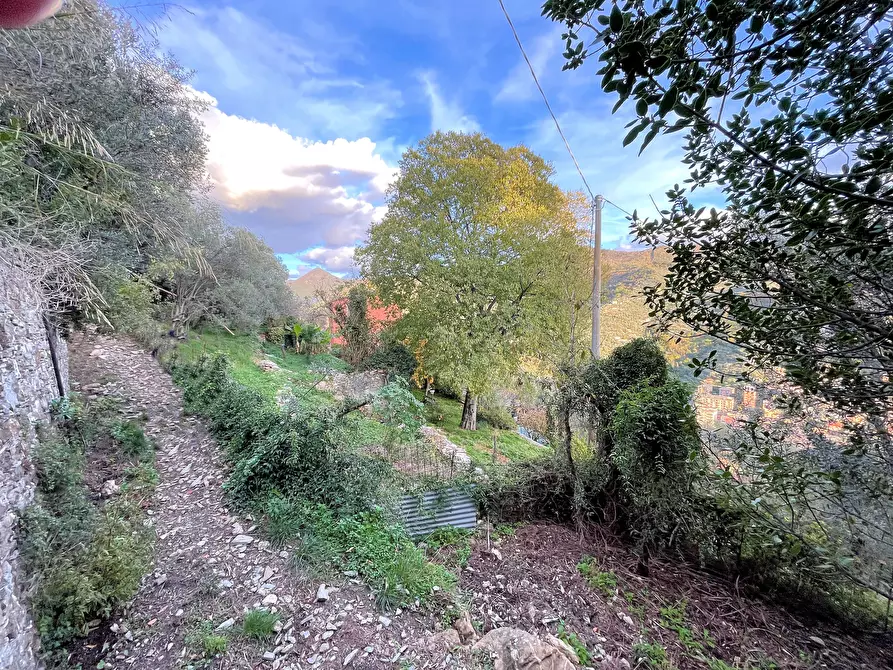 Immagine 9 di Terreno edificabile in vendita  in Via alla Pineta 2 a Recco