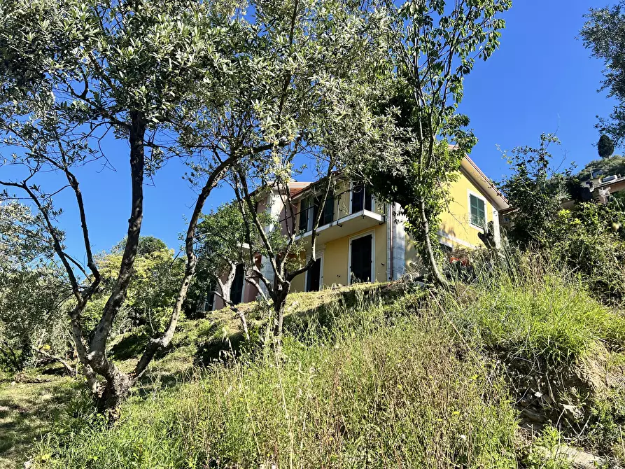 Immagine 3 di Bilocale in vendita  in Via Posato 19 a Avegno