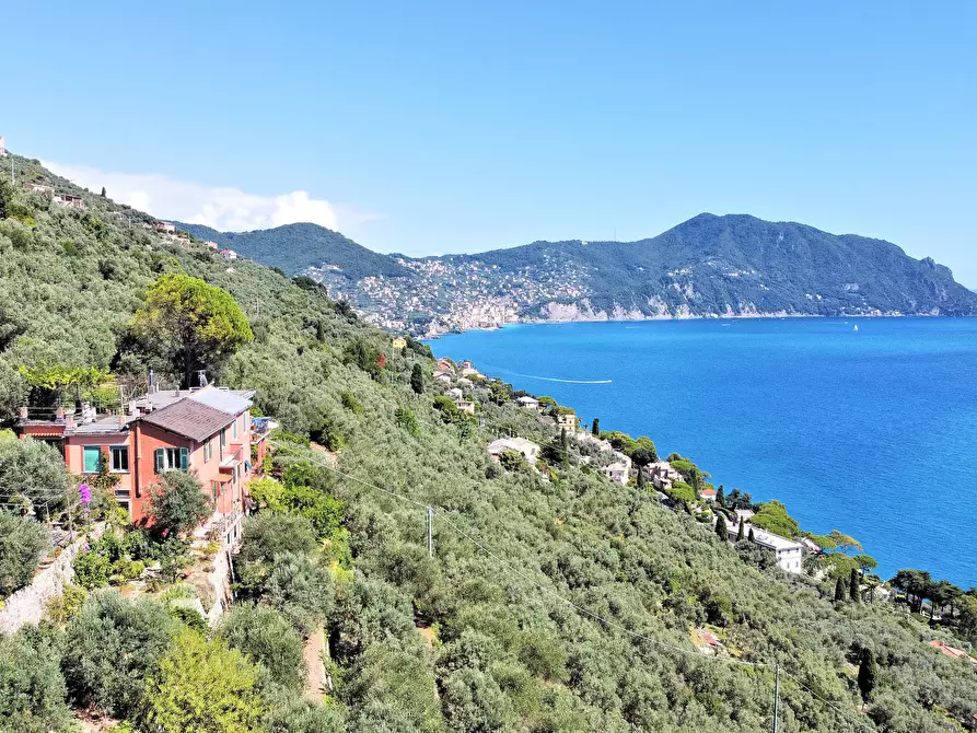 Immagine 28 di Casa semindipendente in vendita  in Frazione Sant'Apollinare 3 a Sori