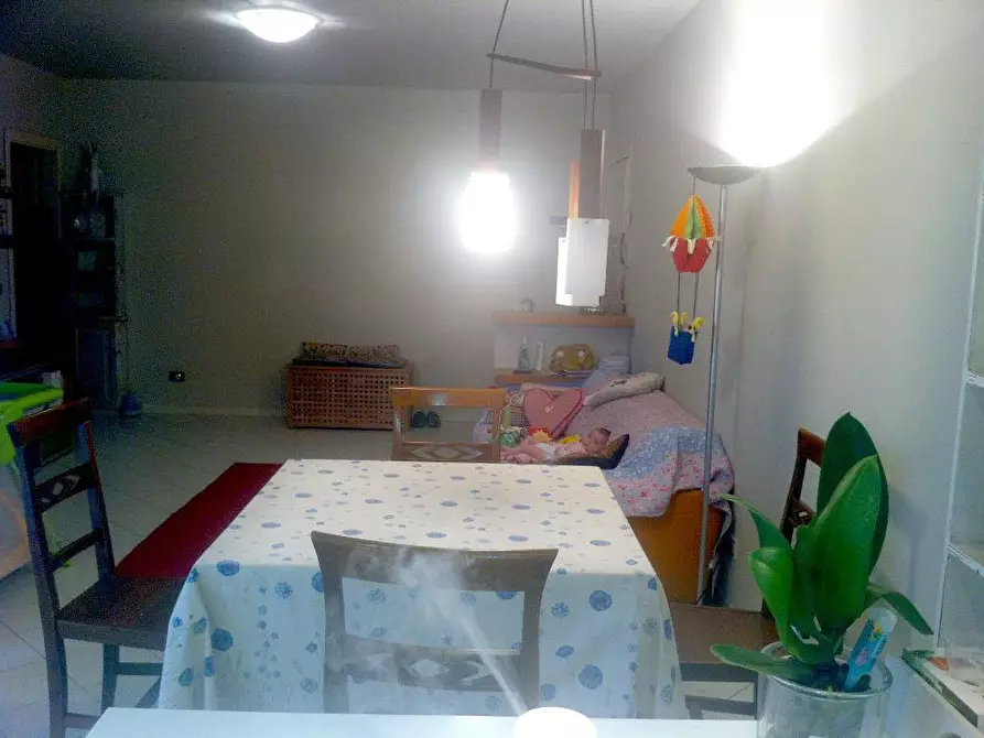 Immagine 3 di Quadrilocale in affitto  a Sarzana