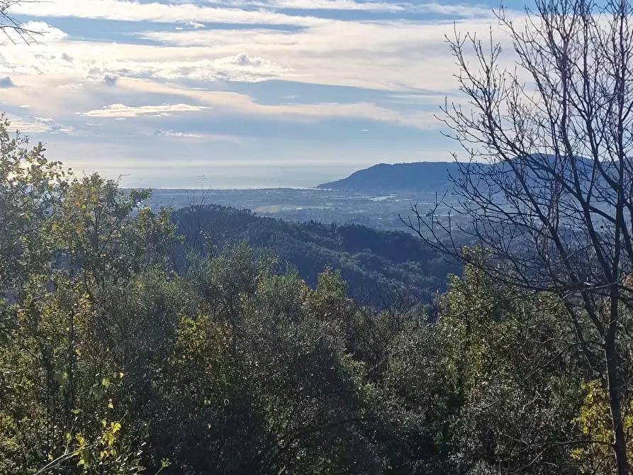 Immagine 25 di Rustico / casale in vendita  a Sarzana