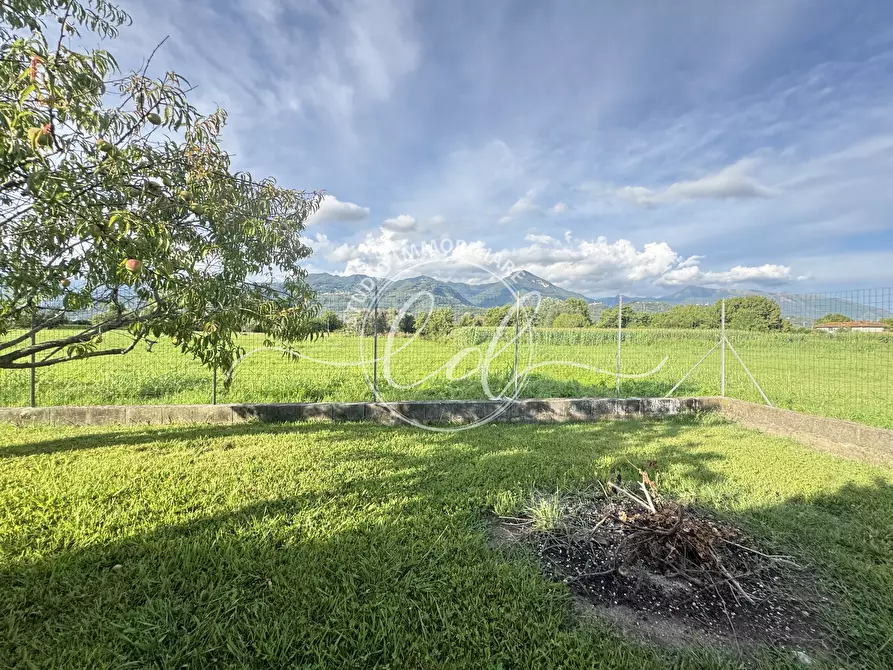 Immagine 64 di Porzione di casa in vendita  a Pietrasanta