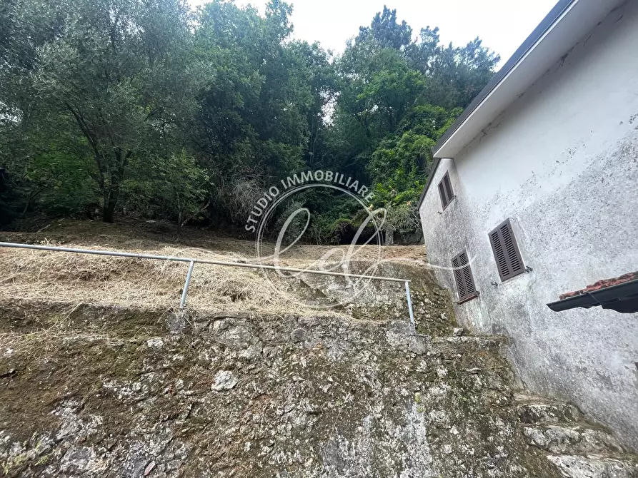 Immagine 32 di Porzione di casa in vendita  a Camaiore