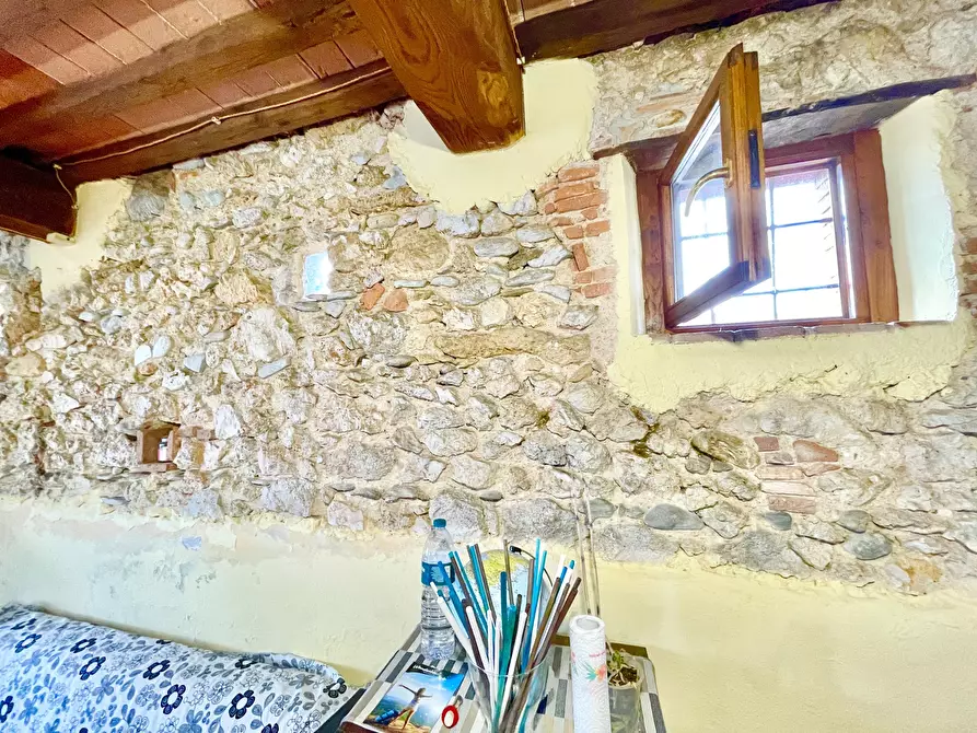 Immagine 54 di Rustico / casale in vendita  a Camaiore
