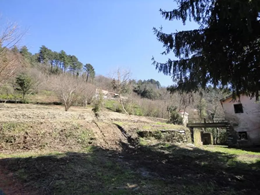 Immagine 9 di Rustico / casale in vendita  a Seravezza